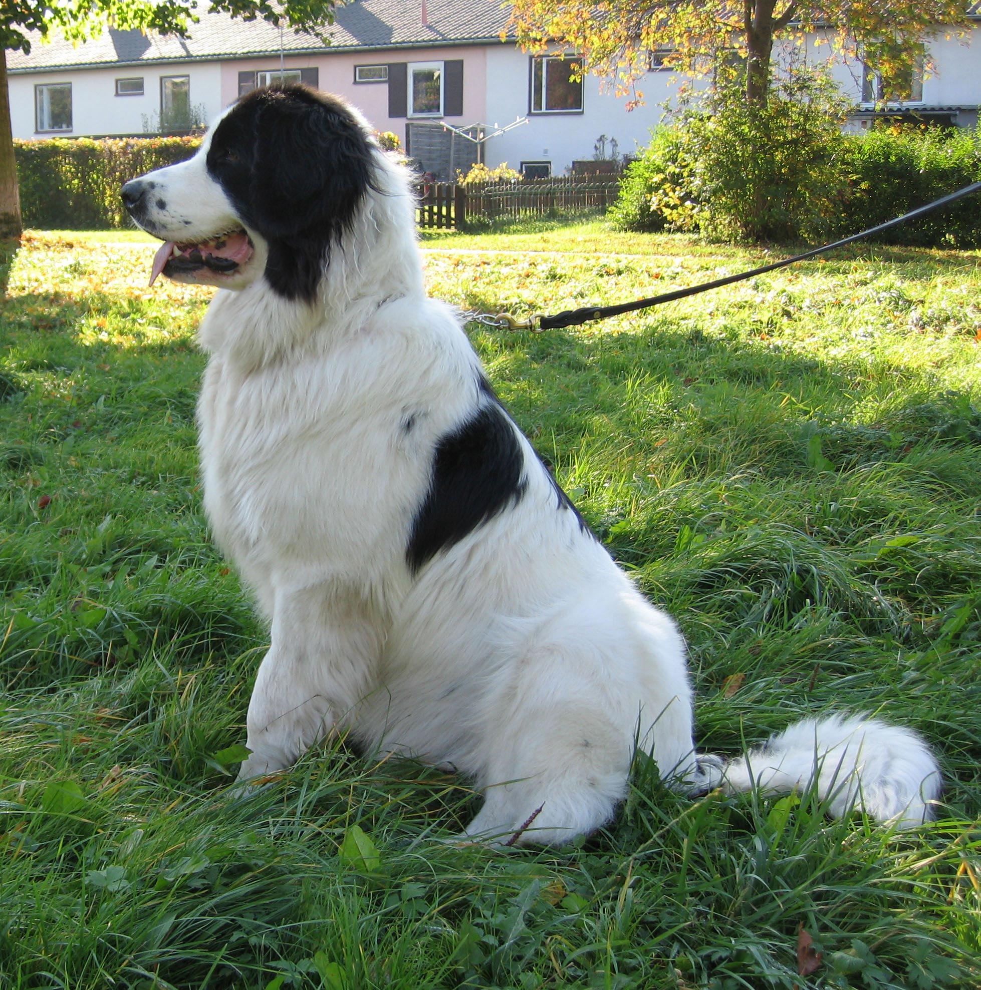 Maya Landseertik 10 mnader