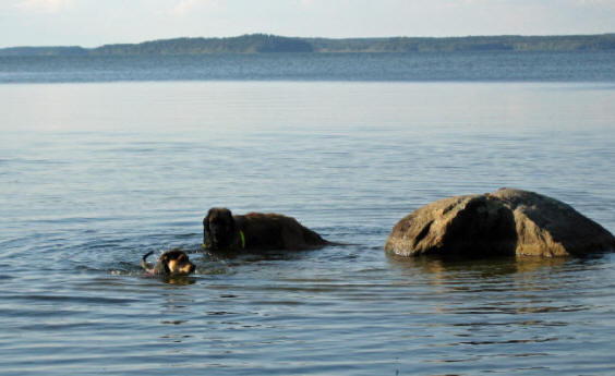 Molly och Semlan utanför Adelsö augusti 05.
