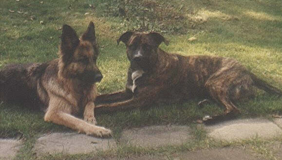 Zita och Nisse